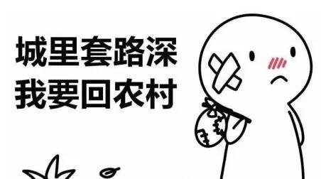 裝修，為什么選擇三葉石裝飾？